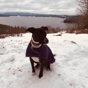 Meet your Posher, Raquel